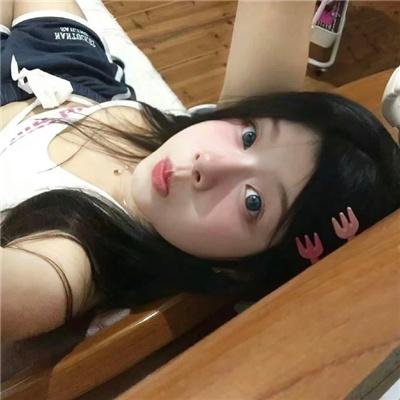 森林之北